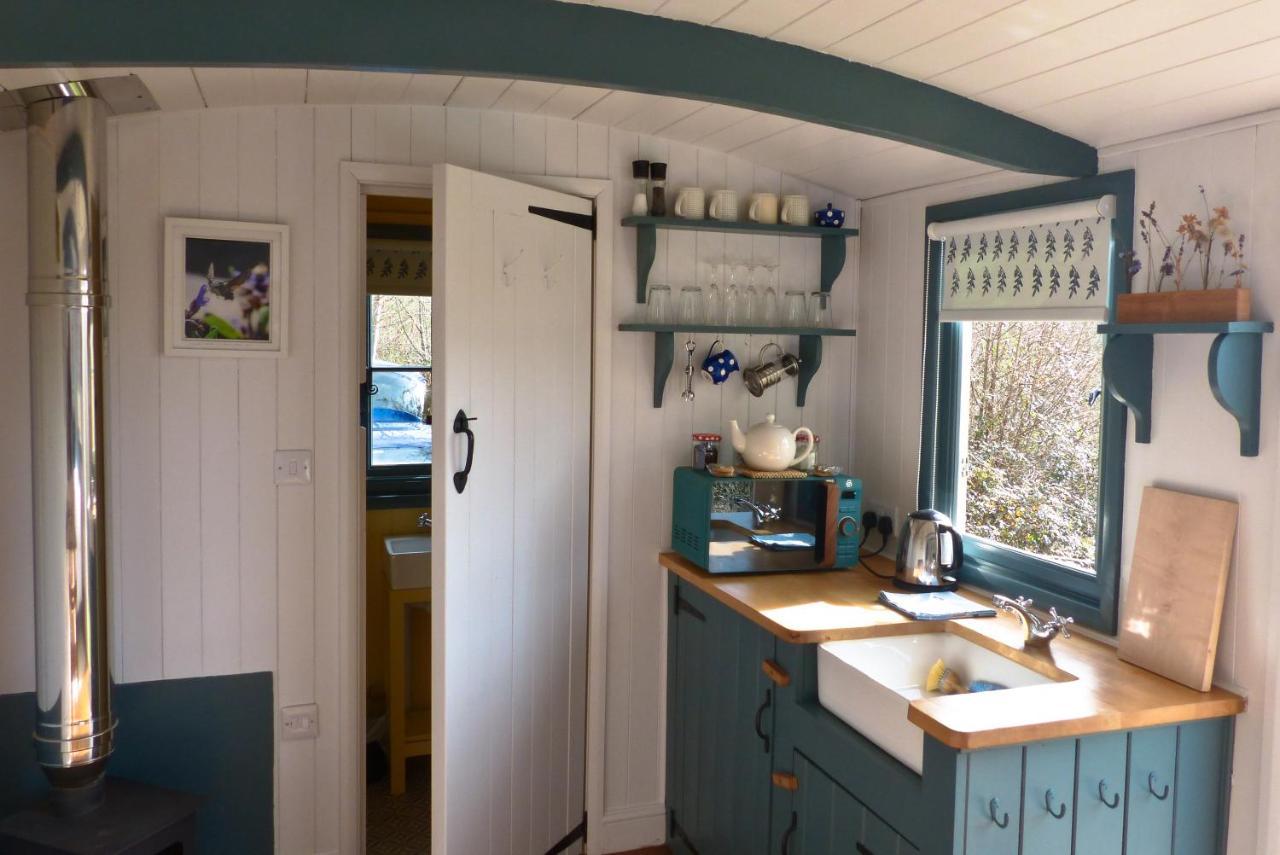 Oak Shepherds Hut Campsite Wootton Fitzpaine