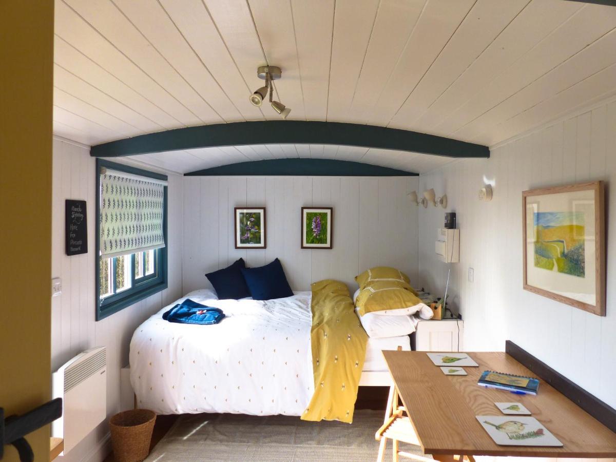 Campsite Oak Shepherds Hut