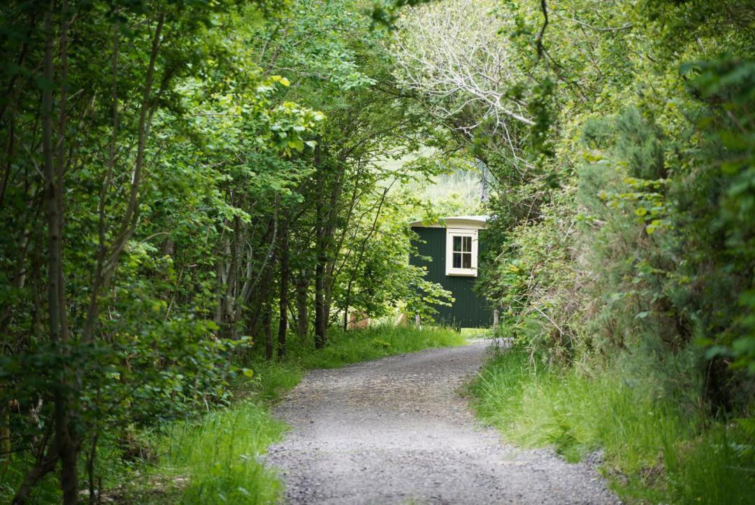 Oak Shepherds Hut *