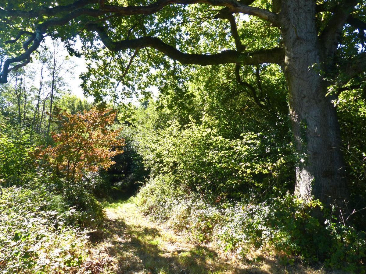 Oak Shepherds Hut